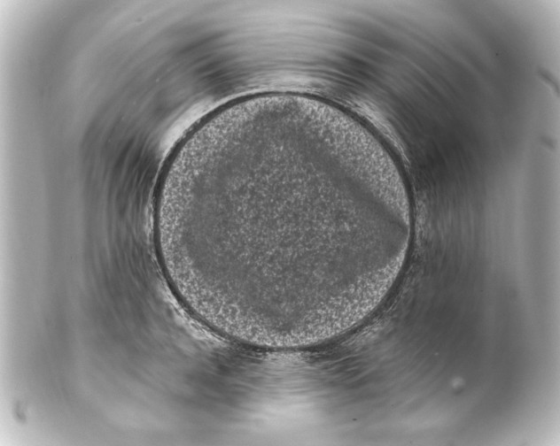 X0000101420944200807280934