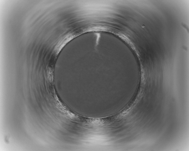 X0000101420945200807280934