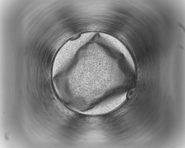 X0000101420946200807280934