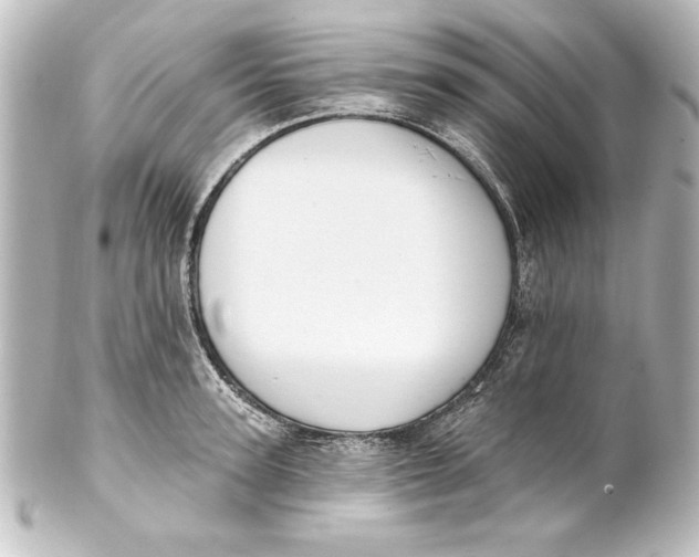 X0000101420947200807280934