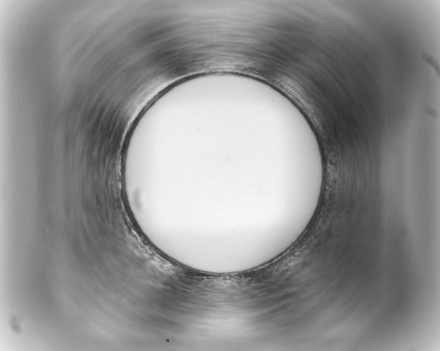 X0000101420948200807280934