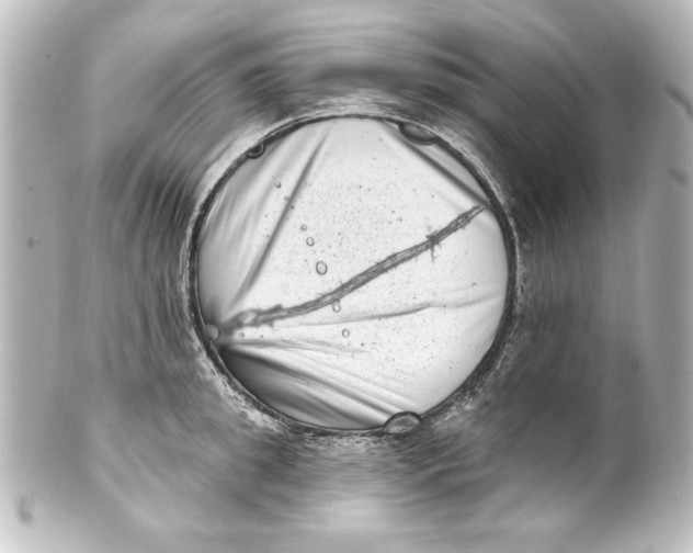 X0000101420949200807280934