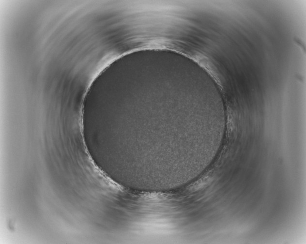 X0000101420950200807280934