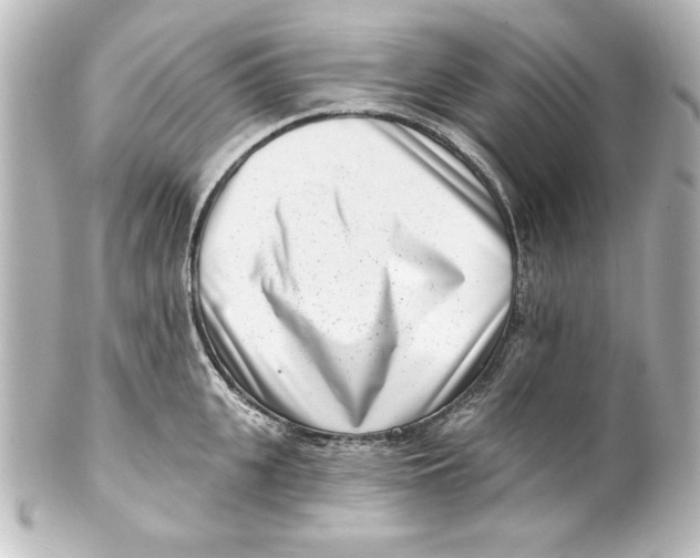 X0000101420951200807280934