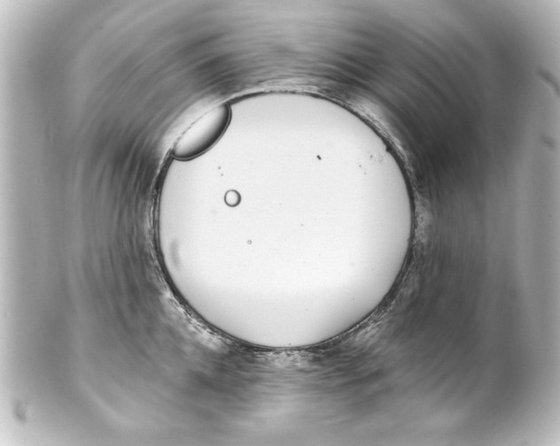 X0000101420952200807280935