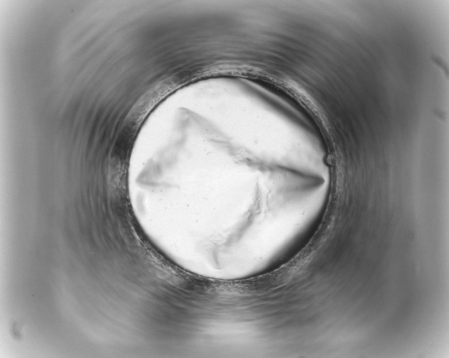 X0000101420953200807280935