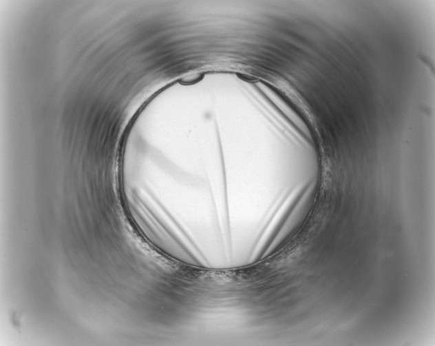 X0000101420955200807280935