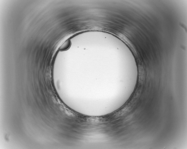 X0000101420956200807280935