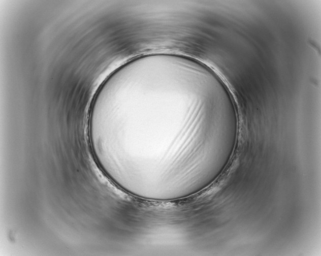 X0000101420957200807280935