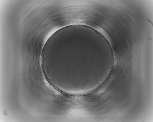 X0000101420958200807280935