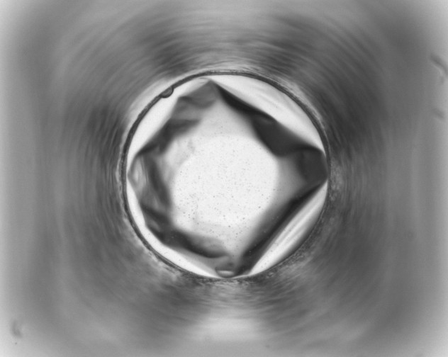 X0000101420959200807280935