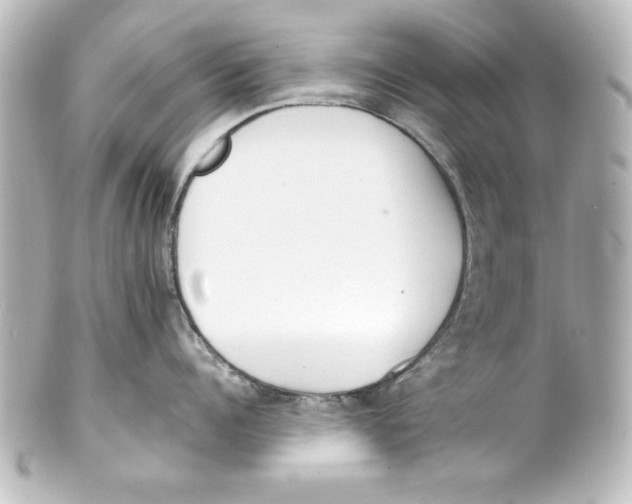 X0000101420960200807280935