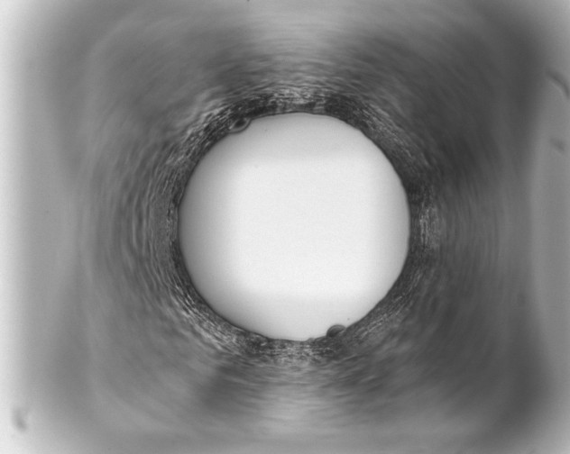 X0000101420961200807280934