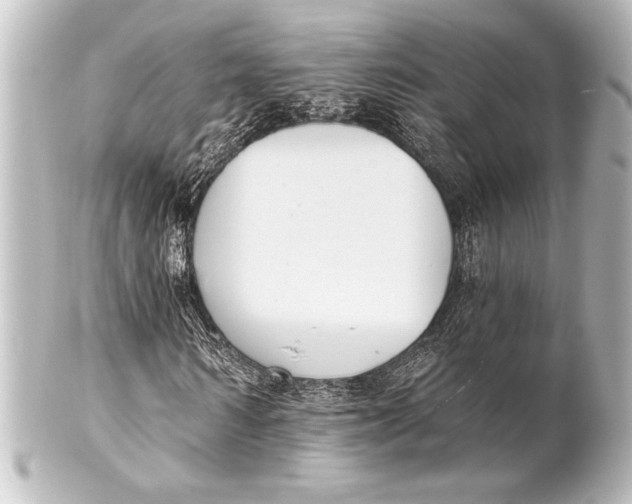 X0000101420962200807280934