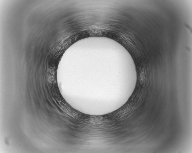 X0000101420964200807280934