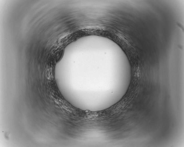 X0000101420965200807280934