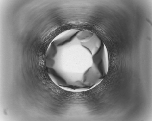 X0000101420966200807280934