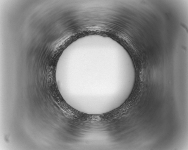 X0000101420968200807280934