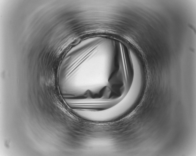 X0000101420969200807280934