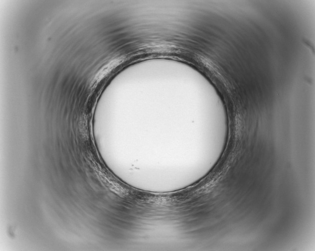 X0000101420970200807280934