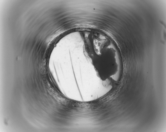 X0000101420971200807280934