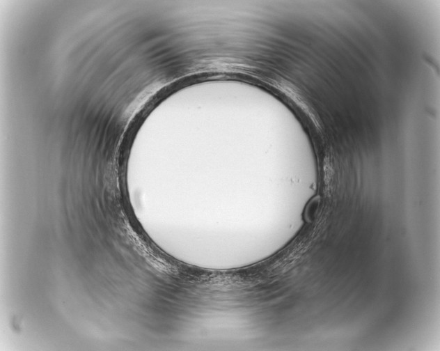 X0000101420972200807280934