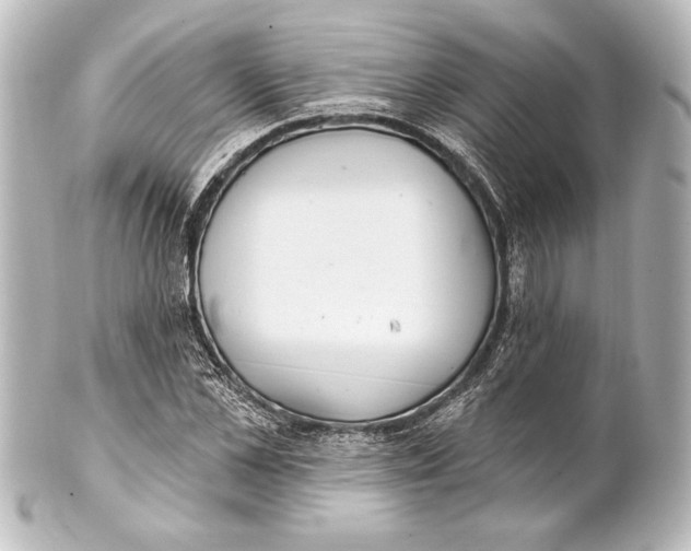 X0000101420973200807280934