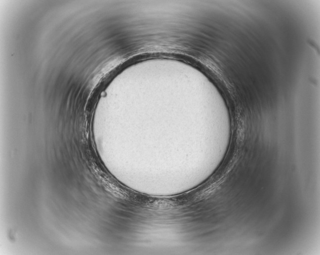 X0000101420974200807280934