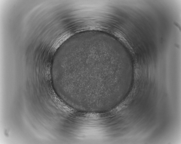 X0000101420977200807280934