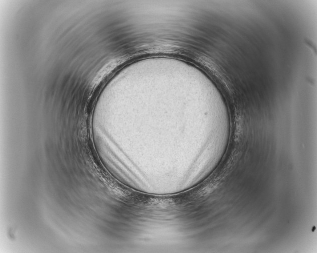 X0000101420978200807280934