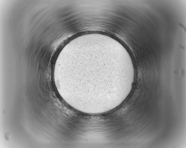 X0000101420979200807280934