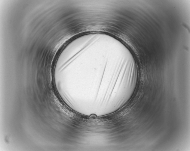 X0000101420980200807280934