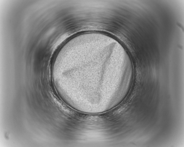 X0000101420982200807280934