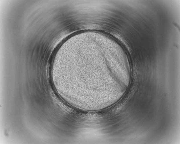 X0000101420983200807280934