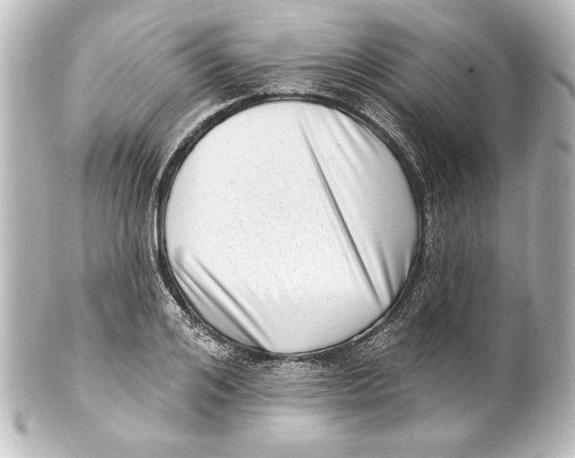 X0000101420984200807280934