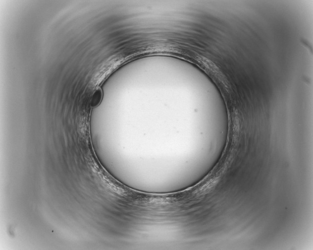 X0000101420985200807280934