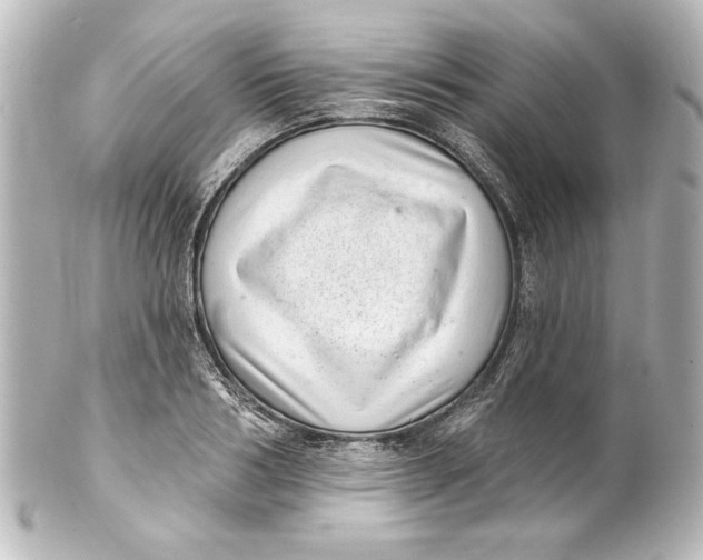 X0000101420986200807280934