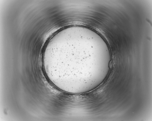 X0000101420987200807280934