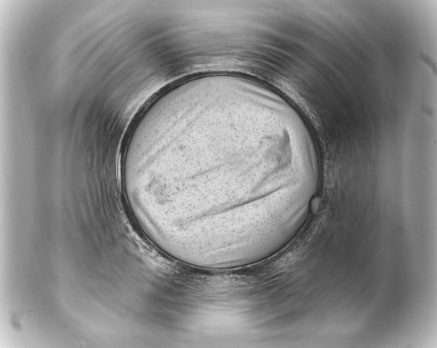 X0000101420988200807280934