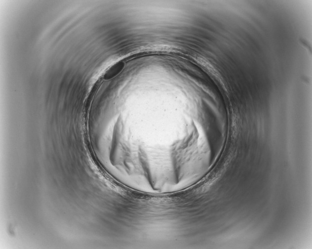 X0000101420989200807280934