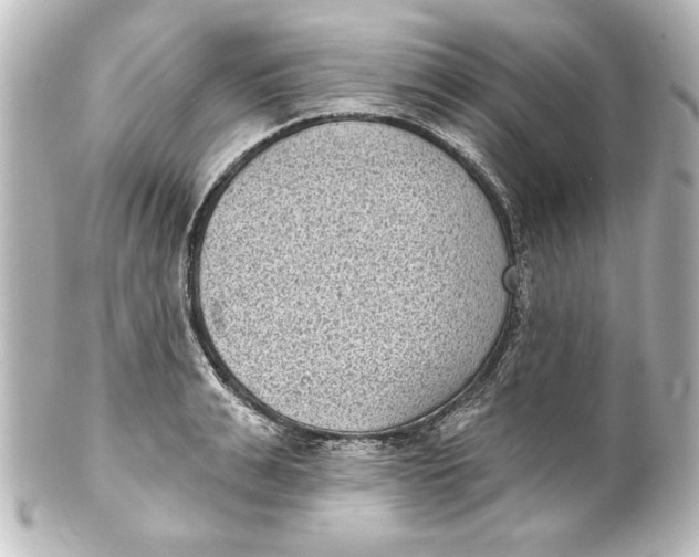 X0000101420991200807280934