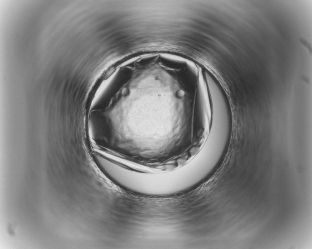 X0000101420992200807280934