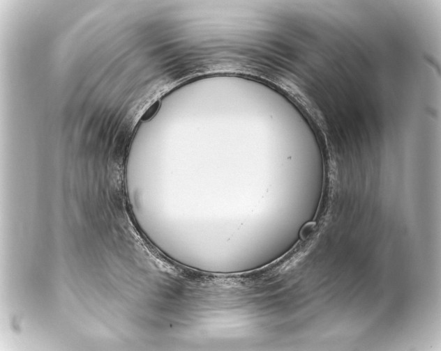 X0000101420993200807280934