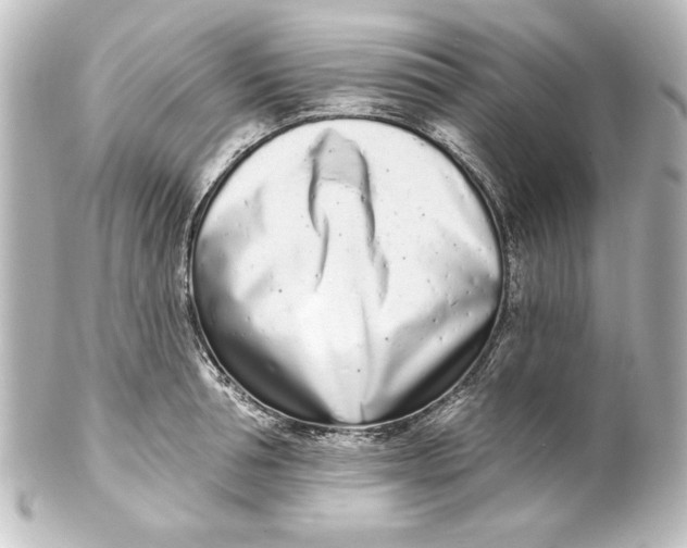 X0000101420994200807280933