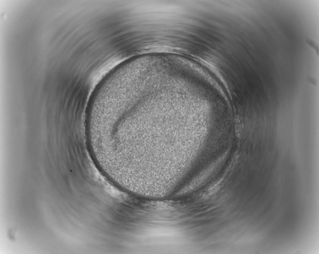 X0000101420995200807280933