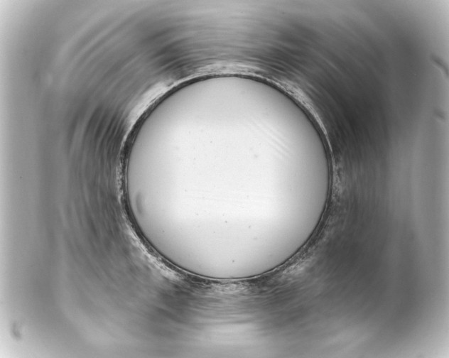 X0000101420997200807280933