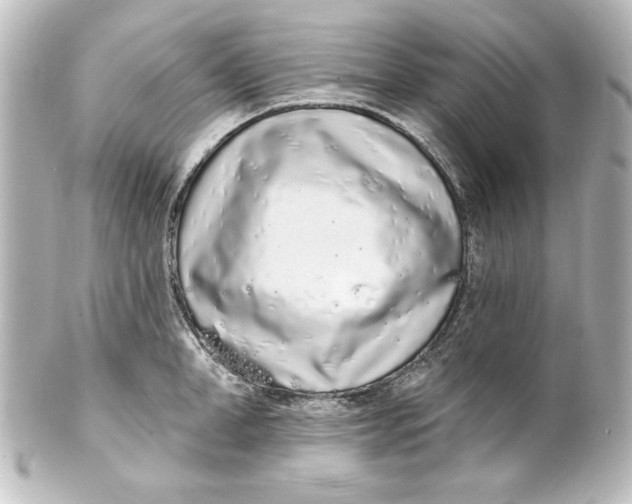 X0000101420998200807280933