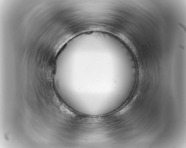 X0000101421001200807280933