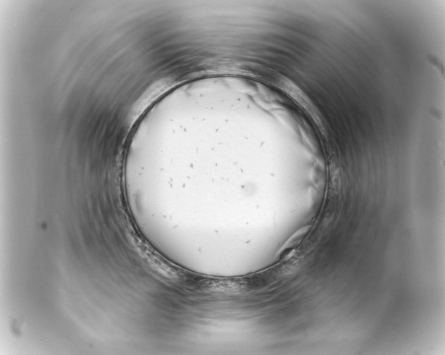 X0000101421002200807280933