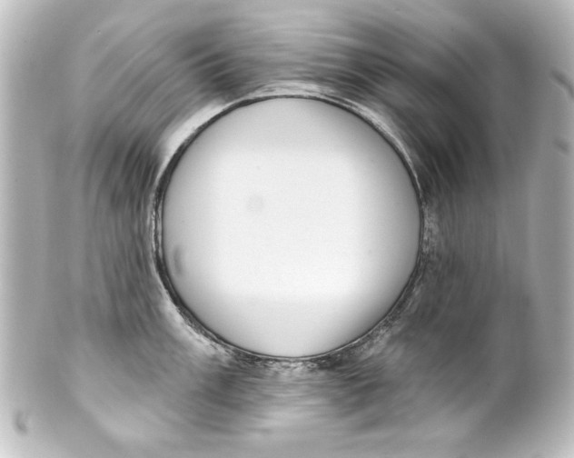 X0000101421003200807280933